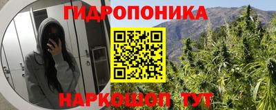 гашик Чапаевск