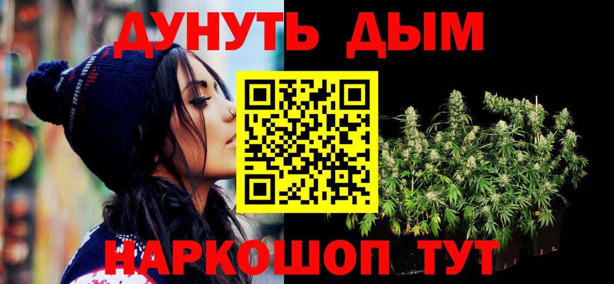 Шишки марихуана семена  Каннабис Ganja  Курчатов  МАРИХУАНА планчик  Вход с VPN 